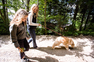 Walking the dog Walking the dog