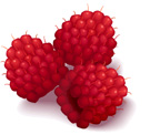 raspberries raspberries