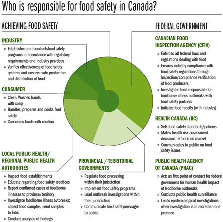 Government Food Safety Chart